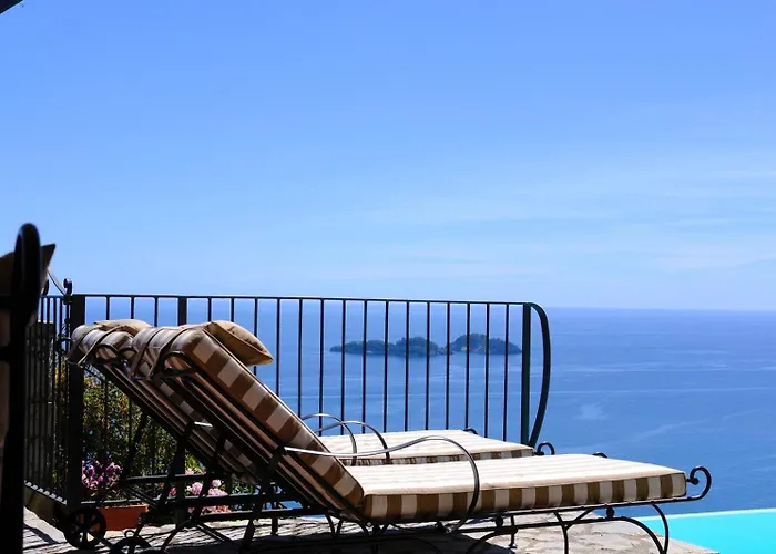 Stone - De Vivo Realty